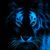 Blue Lion